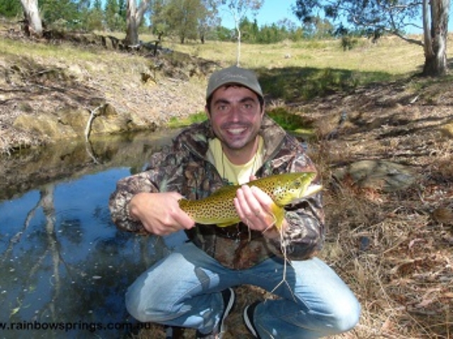 A man holding a nice brown taken in skinny water