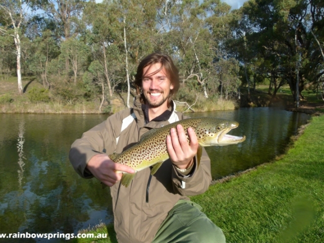 A brown trout cuaght at Rainbow Springs and being released