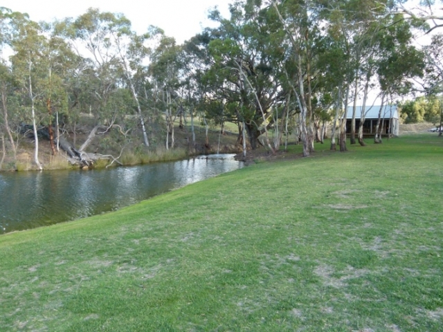 Green grass by the waters edge