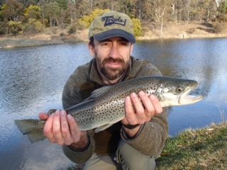 A man catching and releasing a brown trout in summer