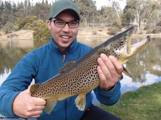 A man about to release a big brown trout