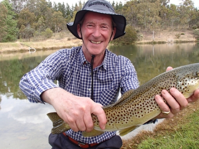 Beautiful brown trout