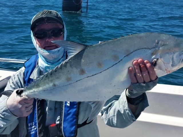 saltwater fly fishing, queenfish on fly