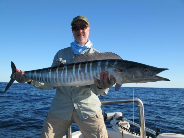 Wahoo on fly, big game fly fishing, Saltwater fly fishing, Catch and release