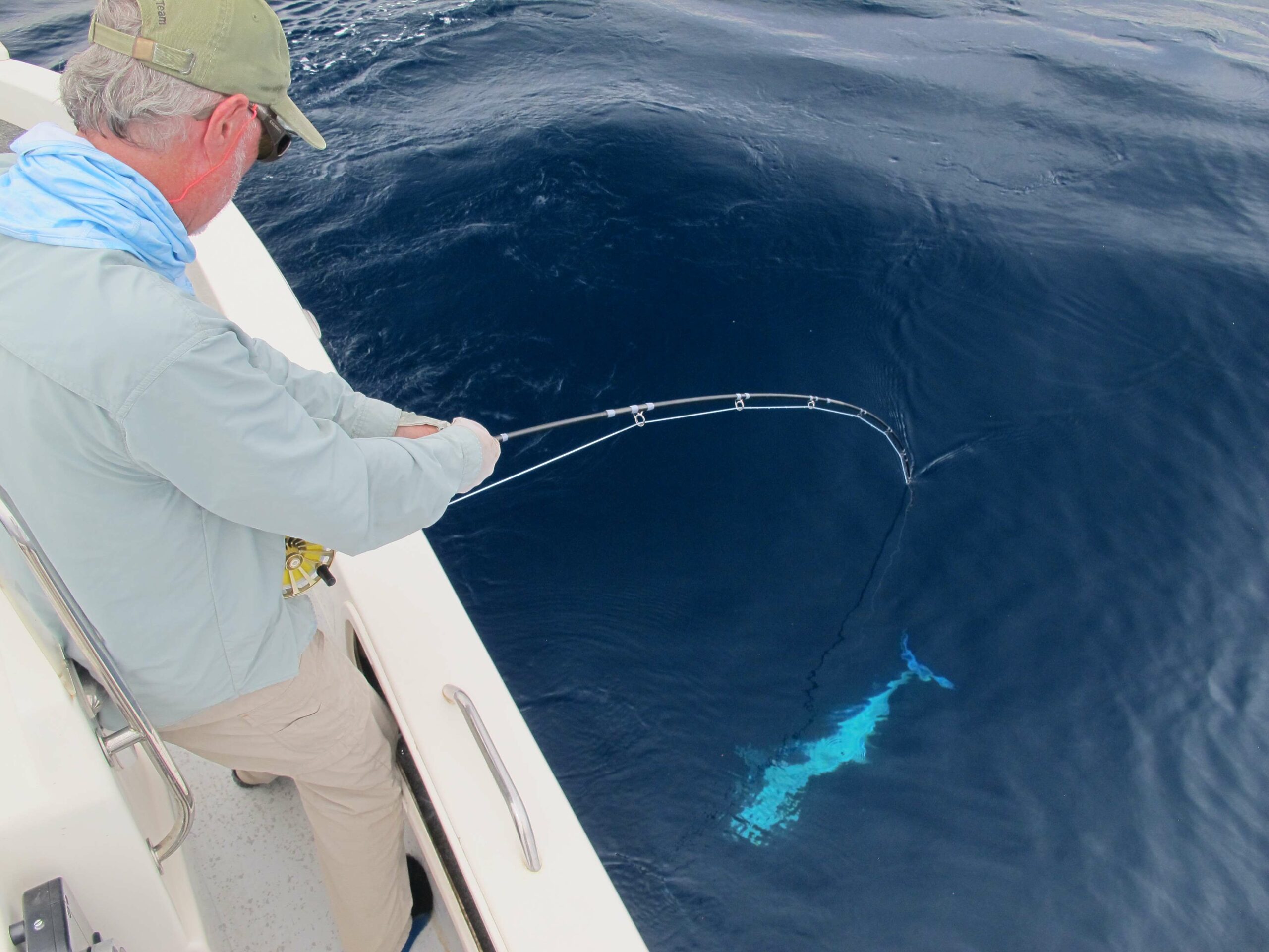 marlin on fly, big game salt water fly fishing, 12wt fly action