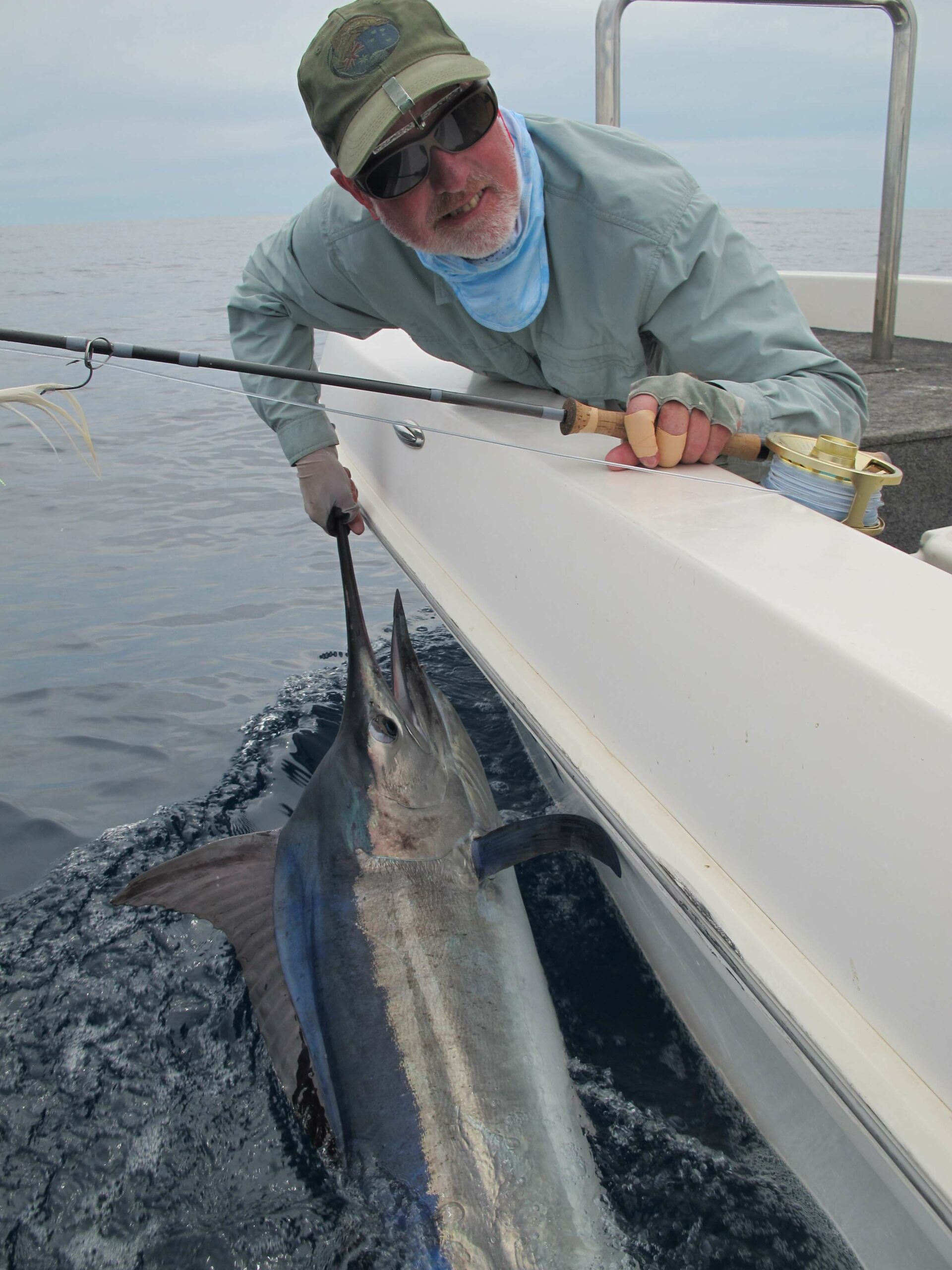 marlin on fly, big game salt water fly fishing, 12wt fly action, catch and release