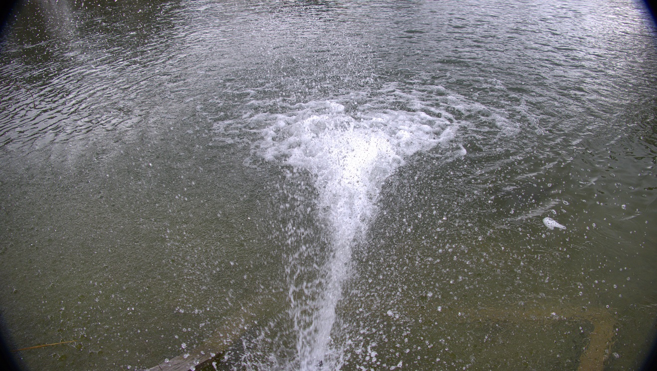 Jetting water into lake in summer