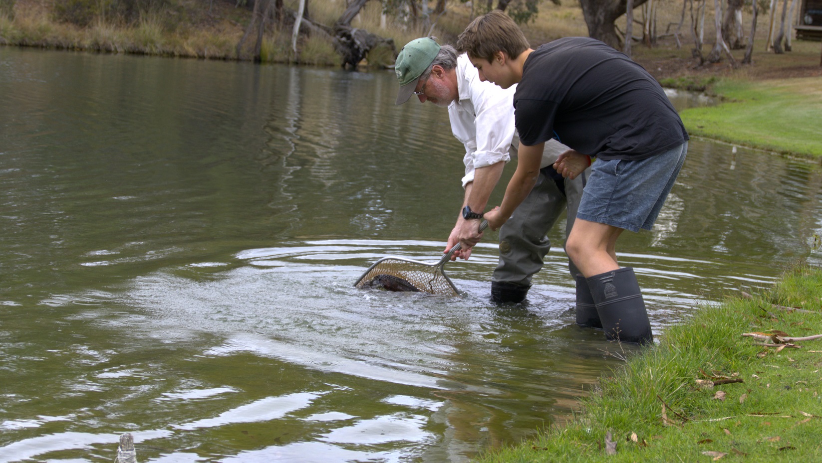 Acyoung man trying to net a monster fish at Rainbow Springs Fly Fishing School