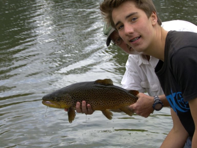 A huge brown trout about to be released