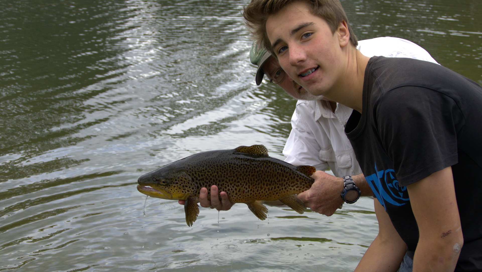 A huge brown trout about to be released