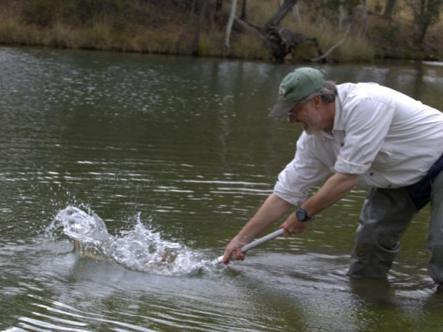 Peter having difficulty netting a 12lb trout