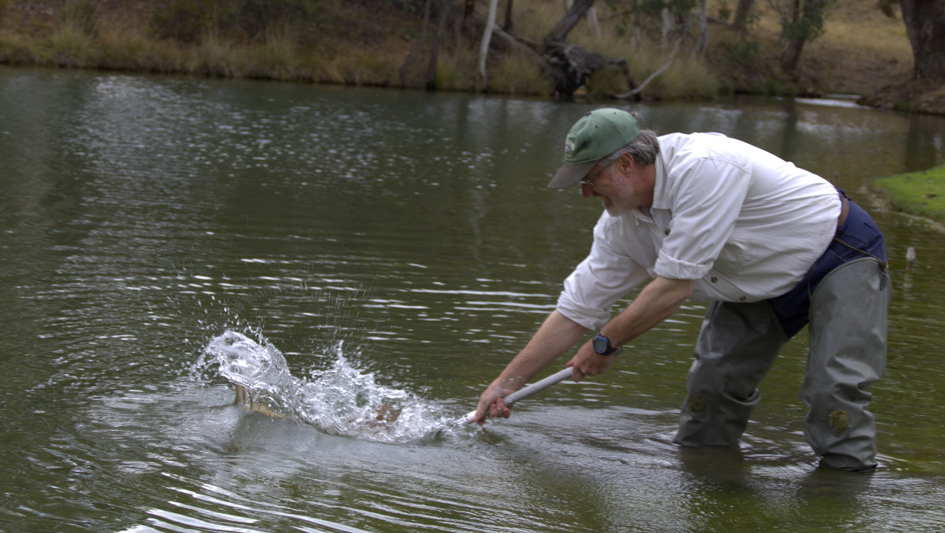 Peter having difficulty netting a 12lb trout
