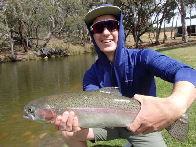 rainbow trout, fly fishing