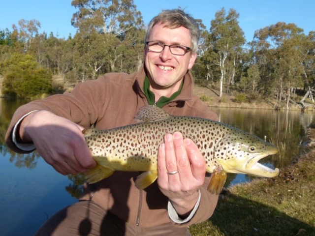 A brown trout caught on dry fly