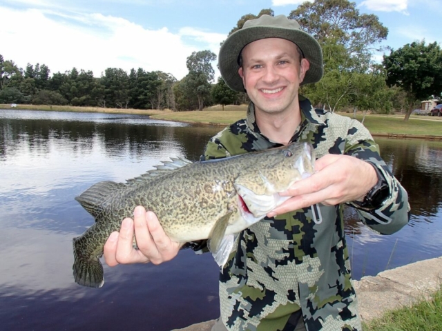 Murray Cod, Fly Fishing