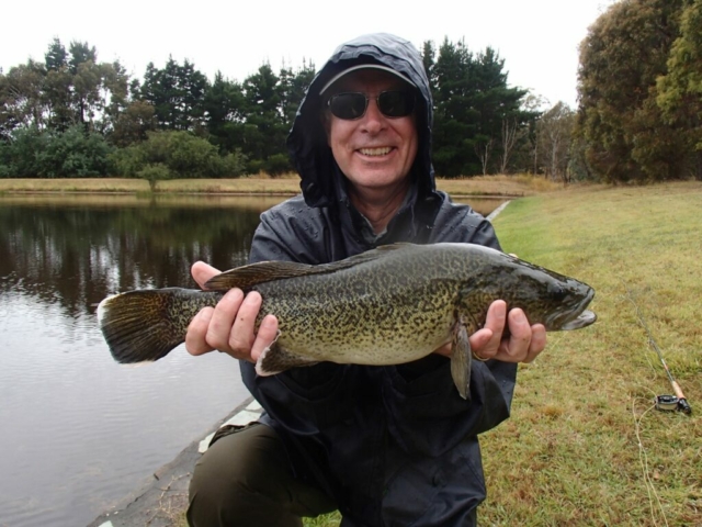 Murray Cod on Fly, Fly fishing for native fish