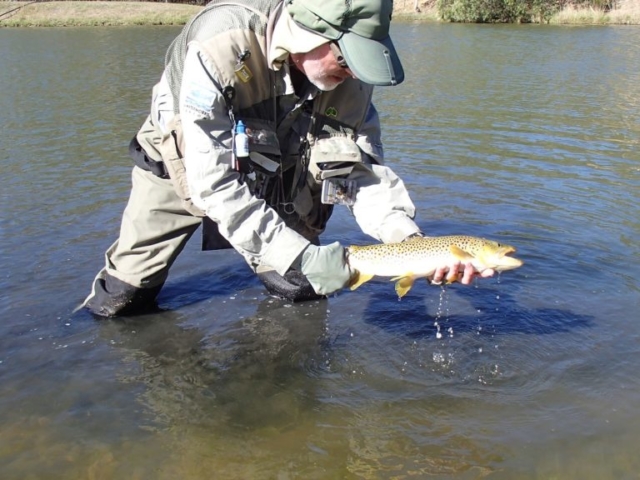 Peter holding a brown trout ready for release