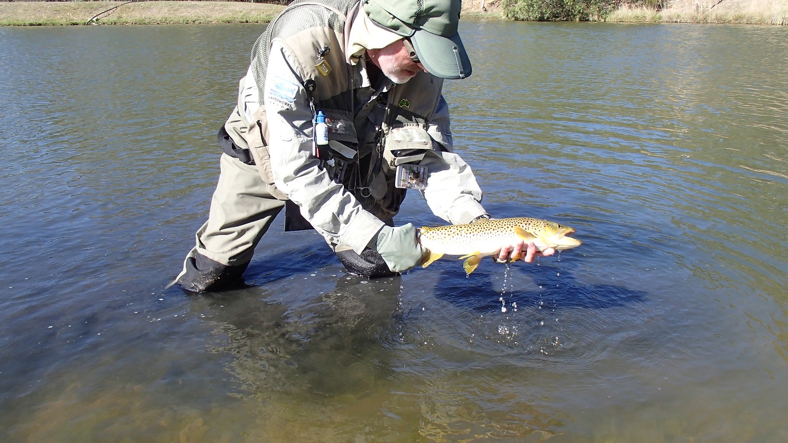 Peter holding a brown trout ready for release