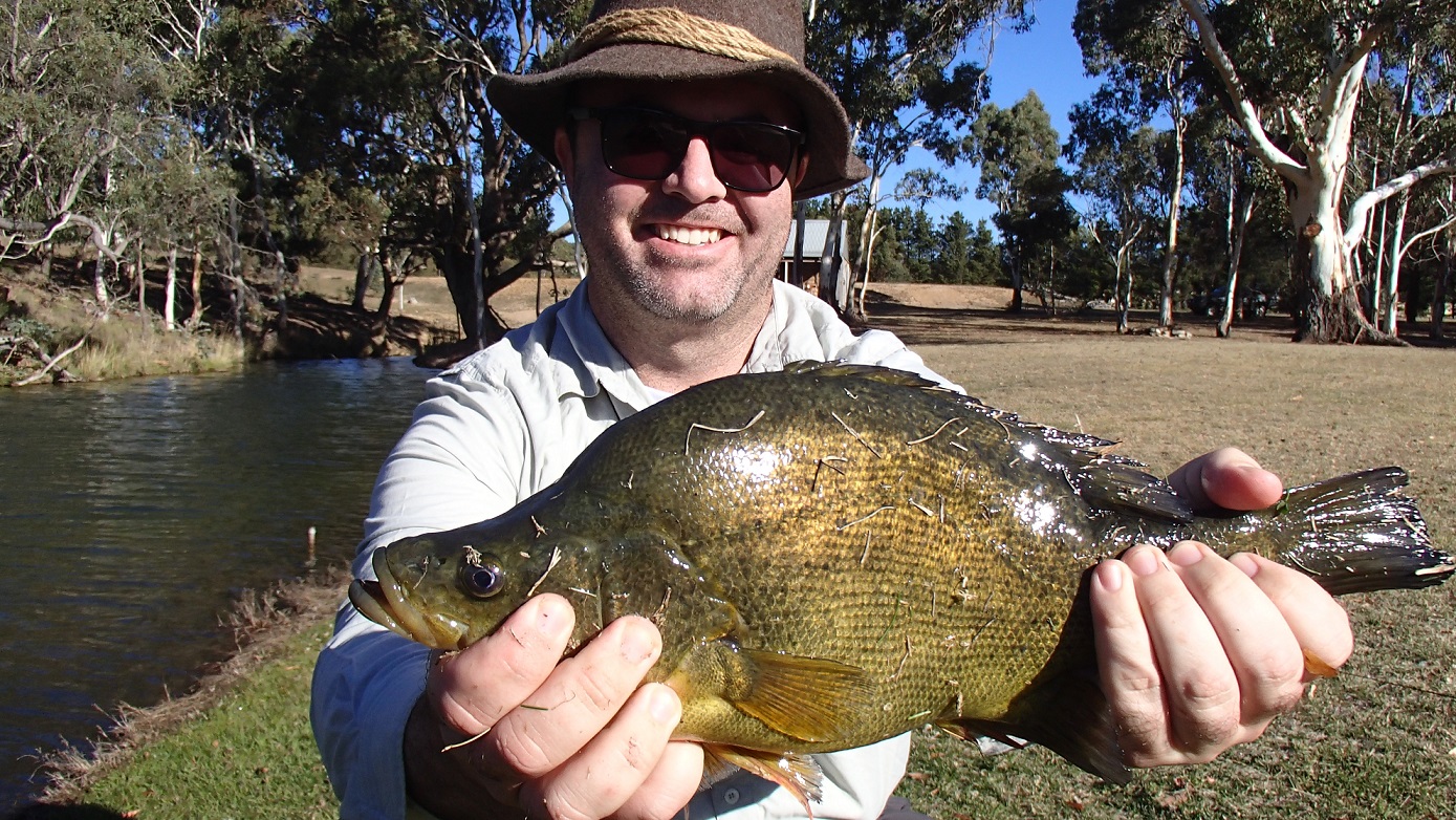 Fly fishing, Golden Perch, fly casting