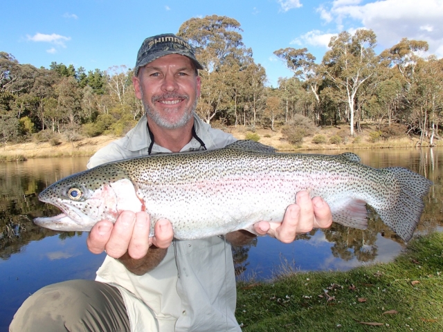 rainbow trout, fly fishing