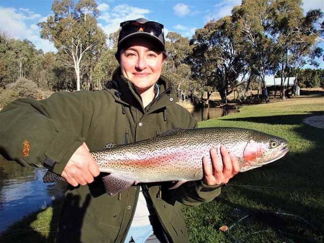 rainbow trout, fly fishing