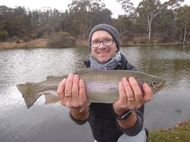 Rainbow Trout, fly fishing
