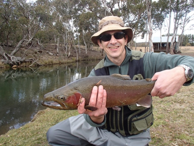 Rainbow trout, Fly Fishing, Spooky Fish