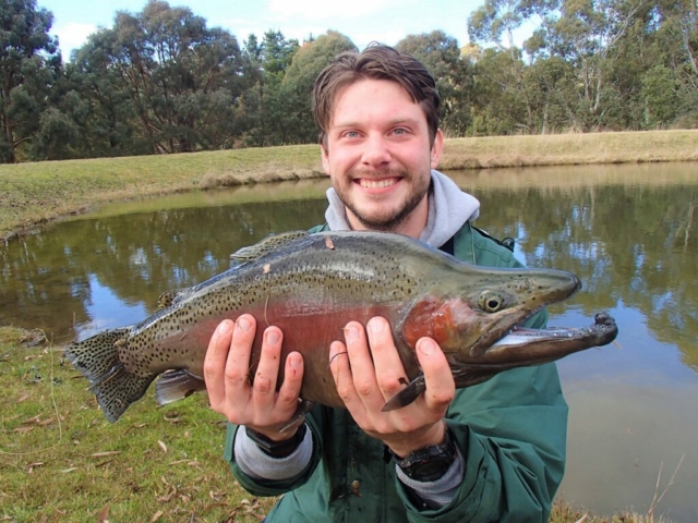 rainbow trout, fly fishing