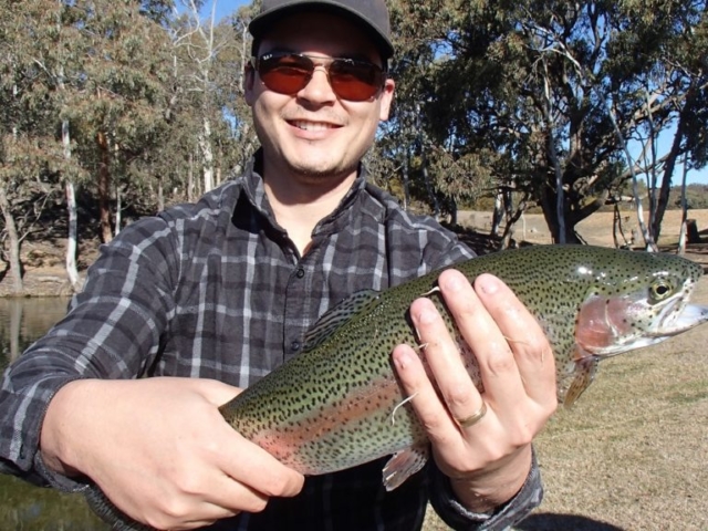 The great colors of Rainbow Trout