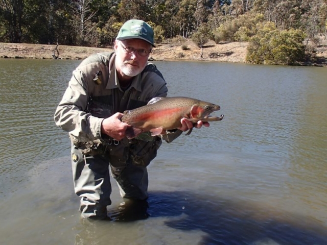 A big rainbow trout at Rainbow Springs Fly Fishing School