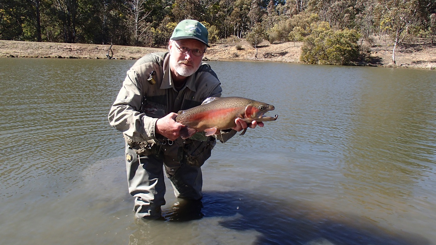 A big rainbow trout at Rainbow Springs Fly Fishing School