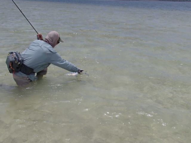 Catching a stripped Trevally