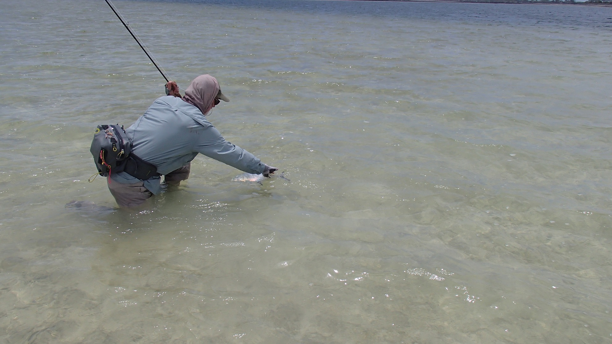 Catching a stripped Trevally