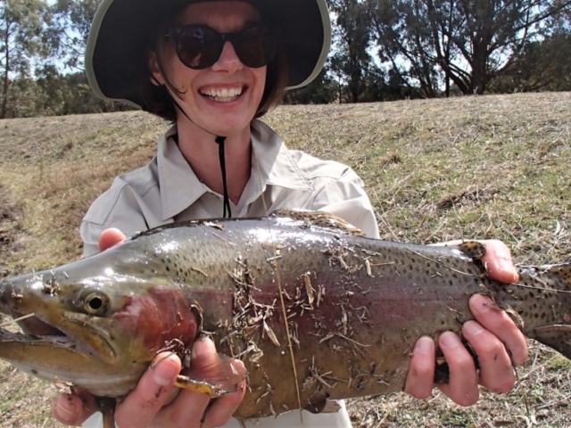 Huge Rainbow Trout caught by a lady angler