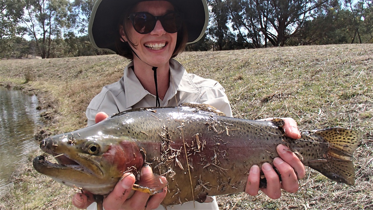 Huge Rainbow Trout caught by a lady angler