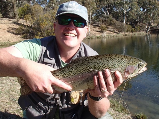 A fat Rainbow Trout in Spring time