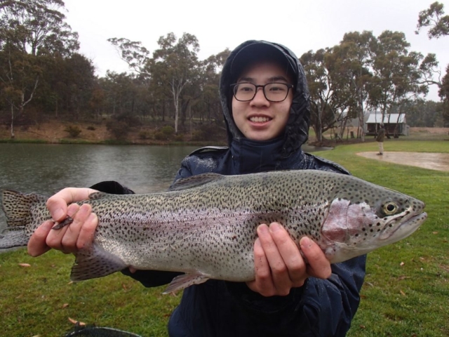 Rainbow trout, Fly Fishing, Spooky Fish