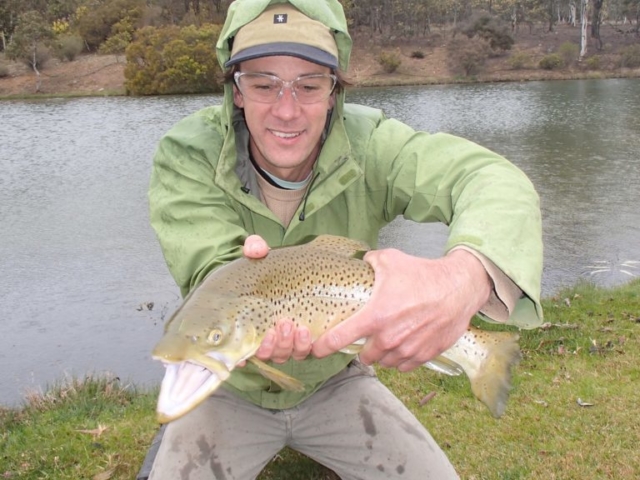 Early release of a big brown trout