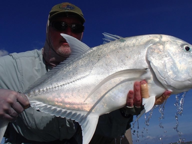 Giant Trevally on fly