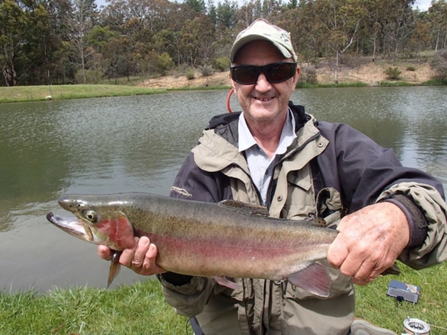 Rainbow trout, Fly Fishing, Spooky Fish