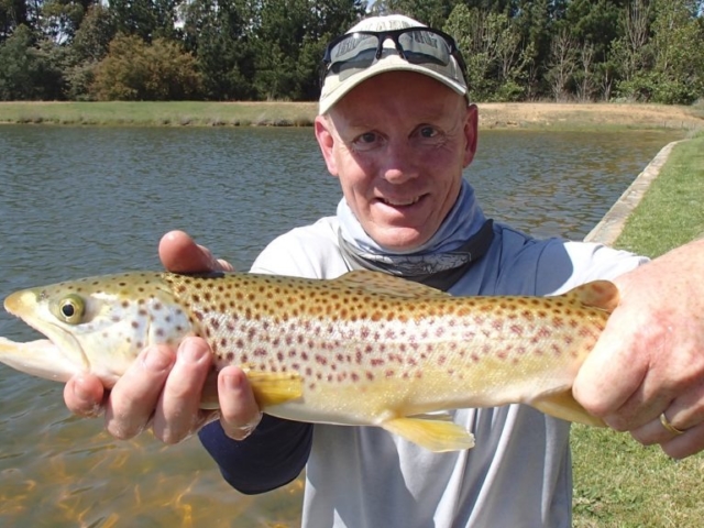 An early spring bbrown trout