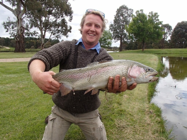 Rainbow Trout, Dry fly fishing, mayfly fishing, Possum Emergers