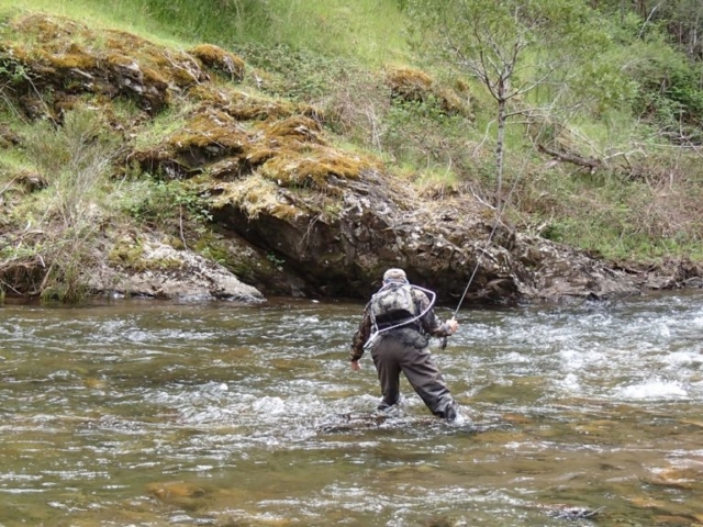 a man catching a fish in a river