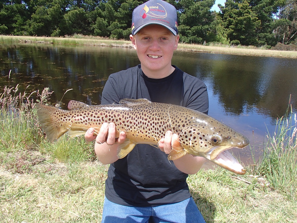 Brown trout on fly, fly fishing, learn to fly fish