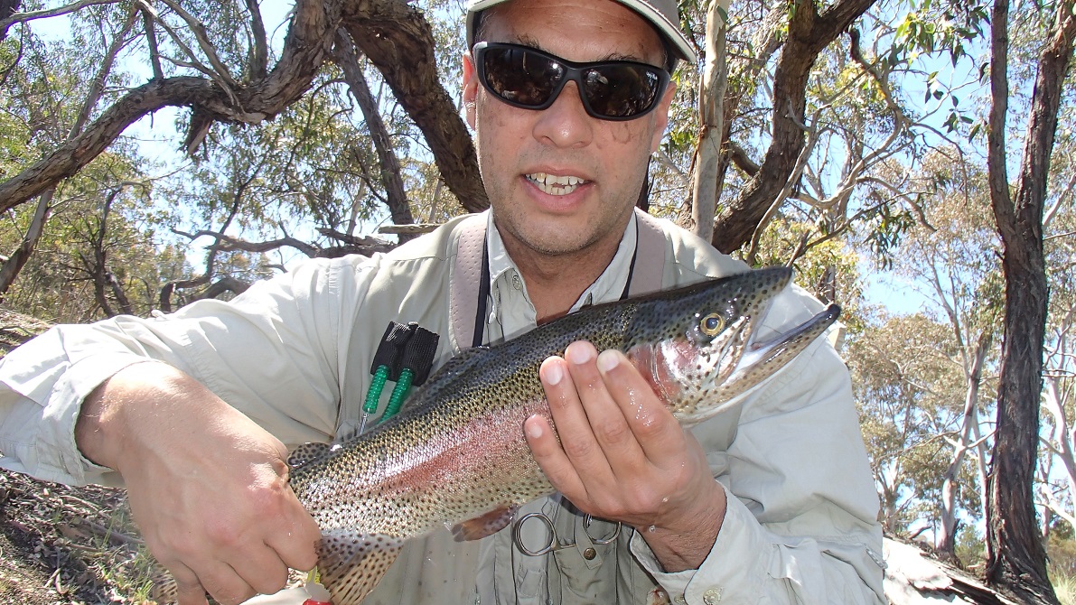Catching trout in tight country