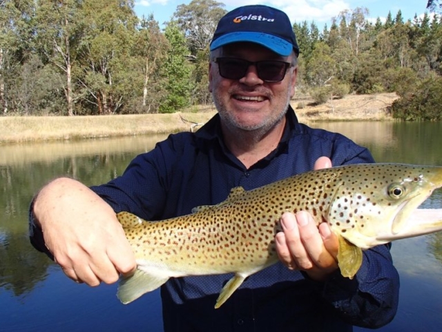 A brown trout smiling on its release