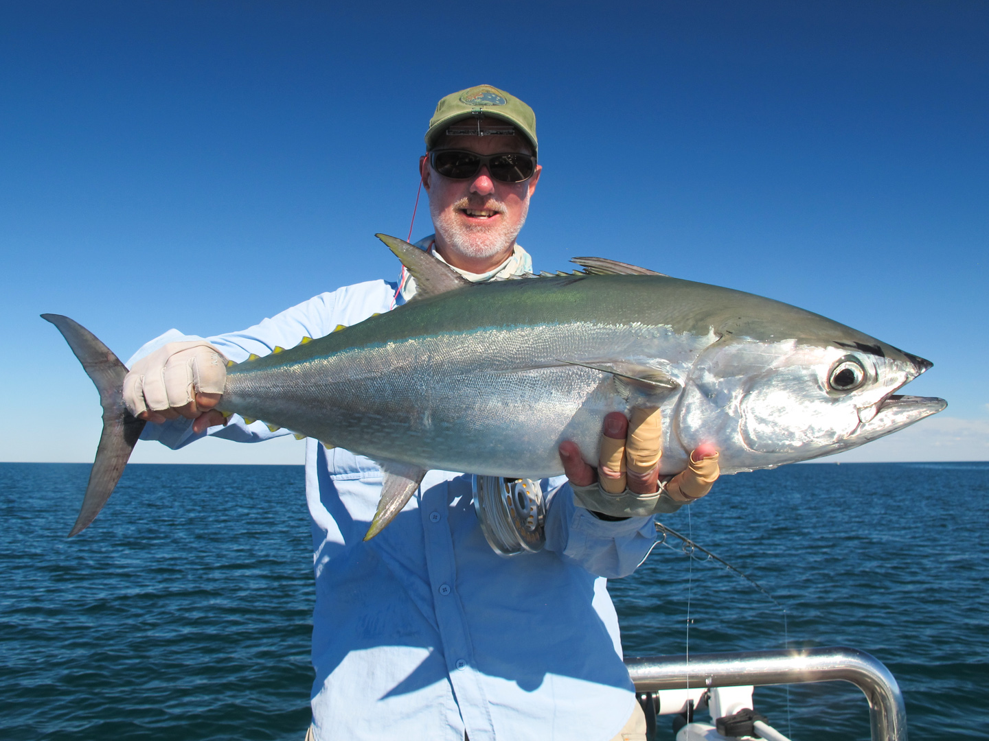 Longtail Tuna on Fly, Fly fishing salt water, big game salt water fly fishing, catch and release