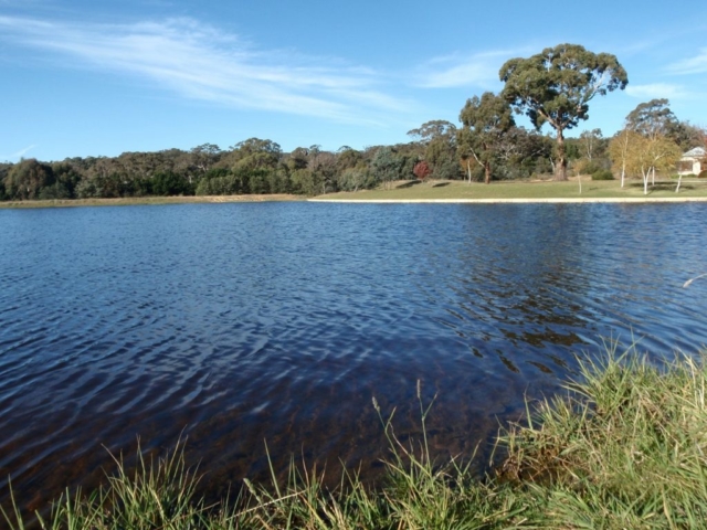 Grassy edge of our main lake