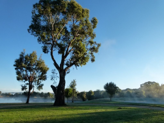 Mist coming off the water in spring