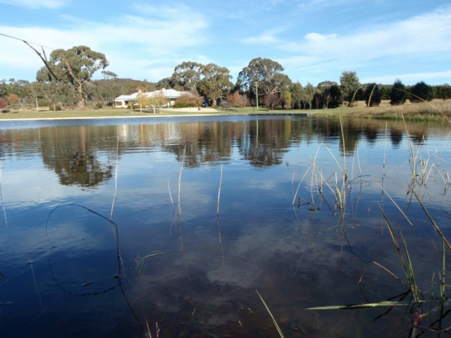 Flooded long grass of main lake